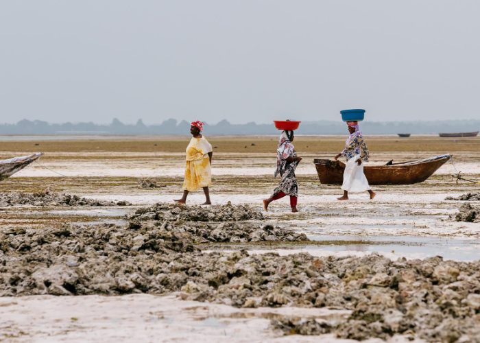 Adozioni internazionali Gambia